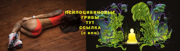 МДМА Алексеевка